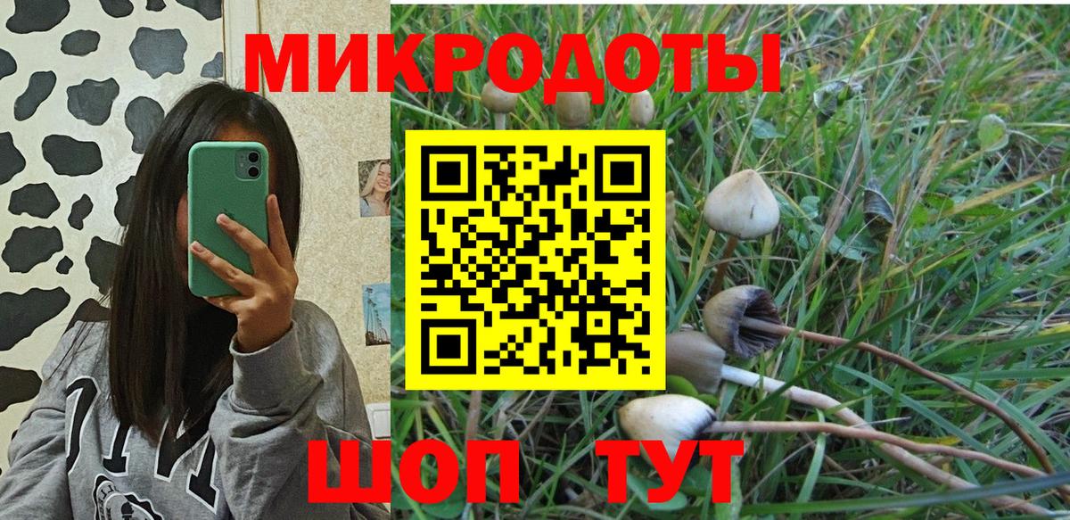 Галлюциногенные грибы Psilocybine cubensis  Вход с VPN  Пугачёв  Галлюциногенные грибы Cubensis 